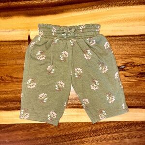 Carter's Green and Pink Floral Shorts with Elastic Waistband